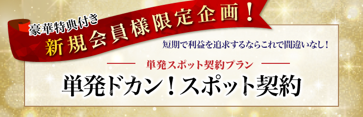 単発スポットプラン